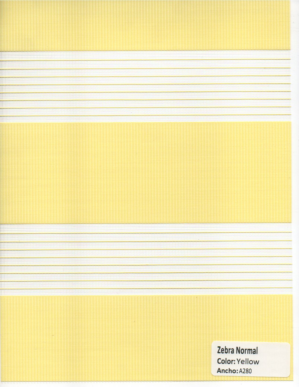 Zebra Normal Yellow